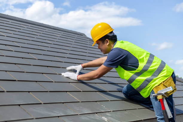 Best Roof Gutter Cleaning  in Mangonia Park, FL