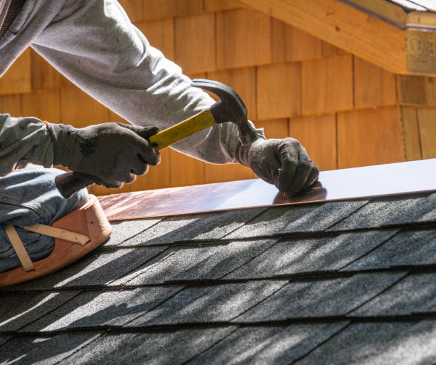 Best Gutter Installation and Roofing  in Mangonia Park, FL